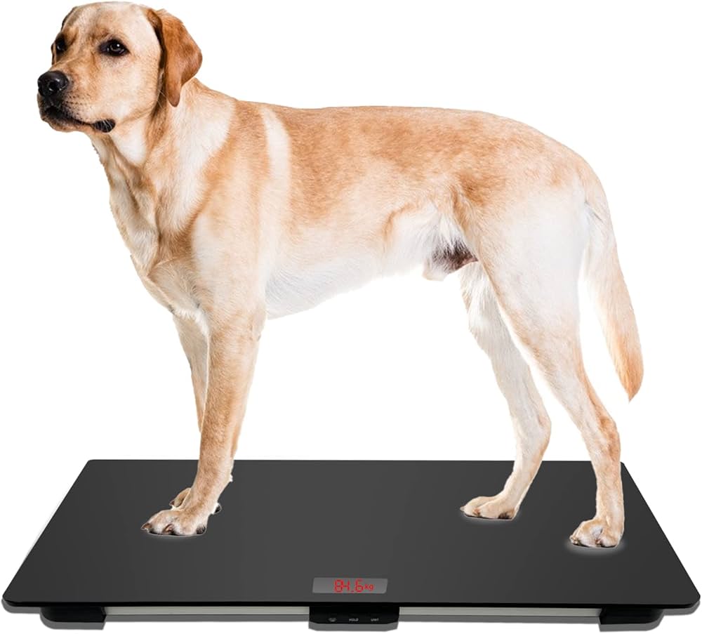 Pet Scale - Large Animal Scale