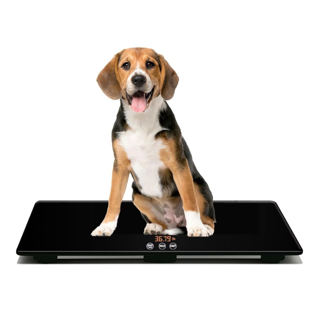 Pet Scales - Medium Dog Scale