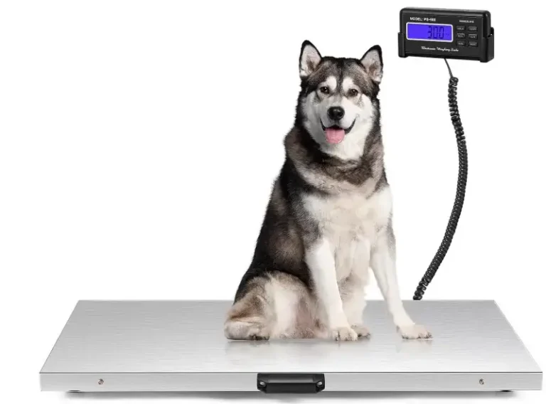 Bonvoisin Pet Scale for Large Dog