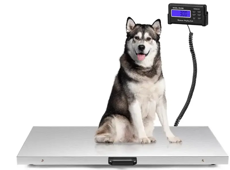 Bonvoisin Pet Scale for Large Dog