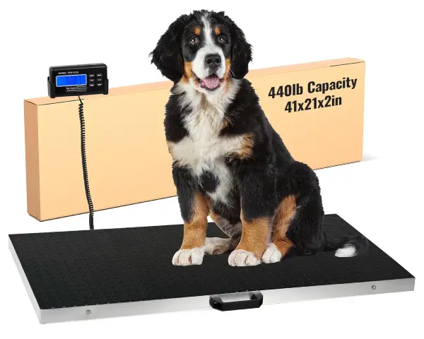 Large Dog Scale - Houseables