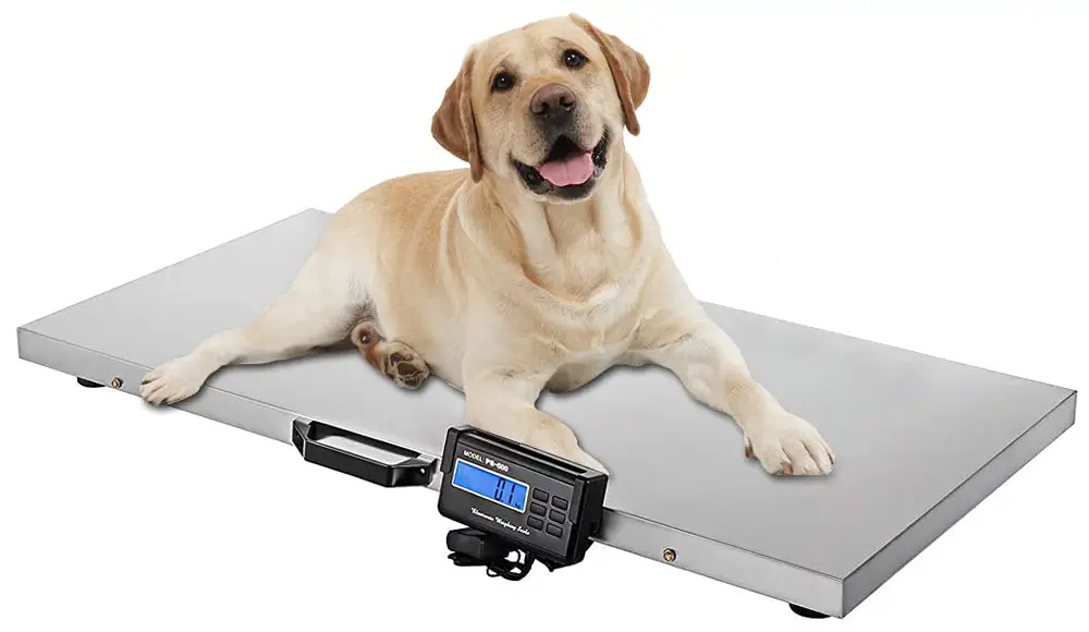 1100LB Large Dog Scale