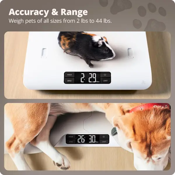 Small Pet Weight Scale