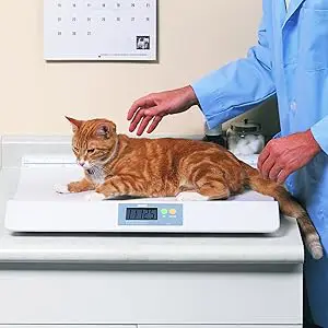 Tanita BD-585 Small Pet Scale